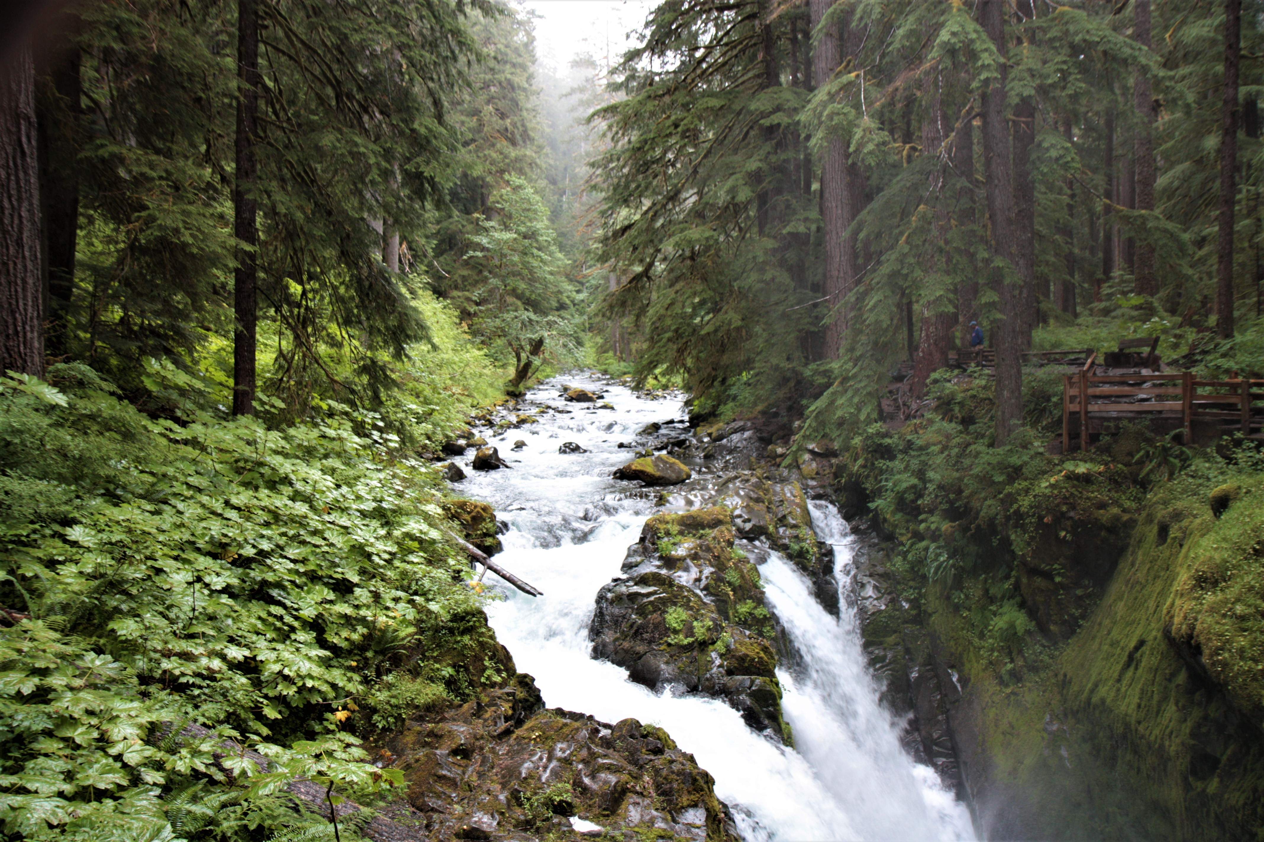 Olympic NP